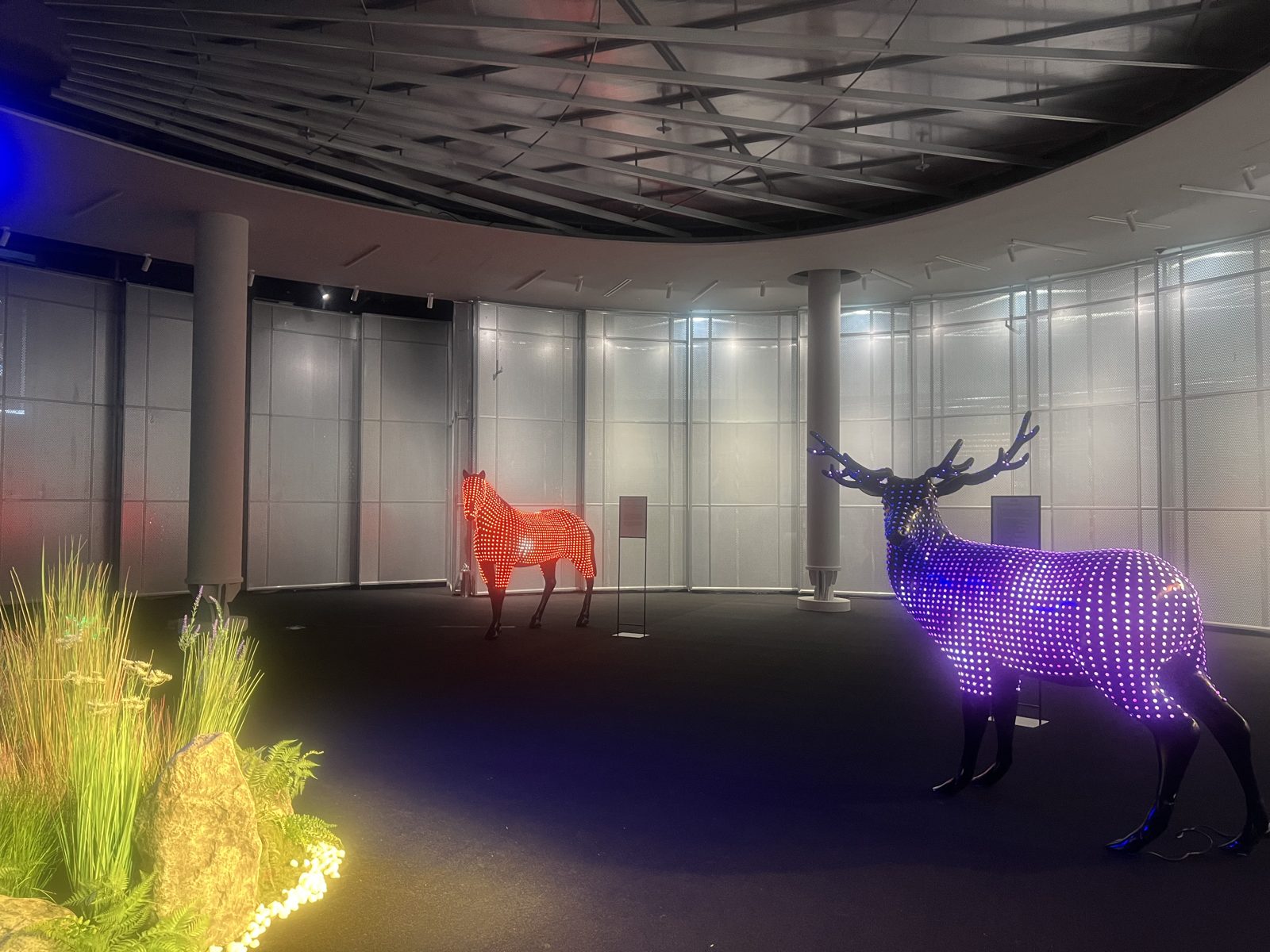 BENDINGMATRIX_DEER